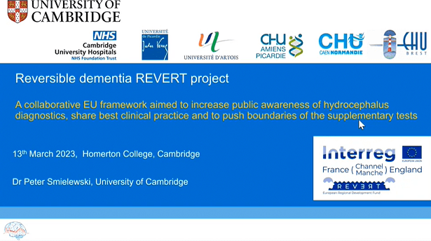 The context of the reversible dementia project